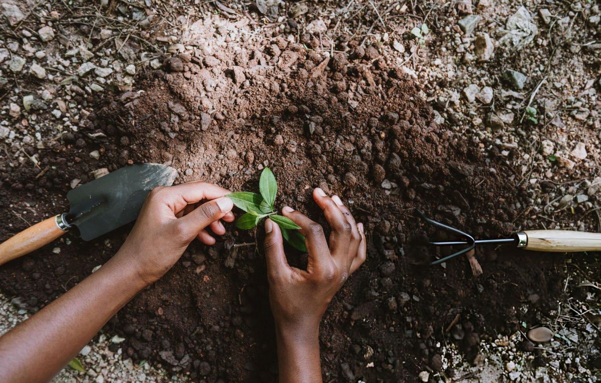 Environmental Stewardship