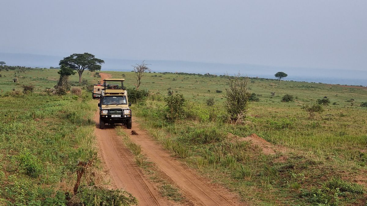 Safari vehicle driving through Uganda savannah