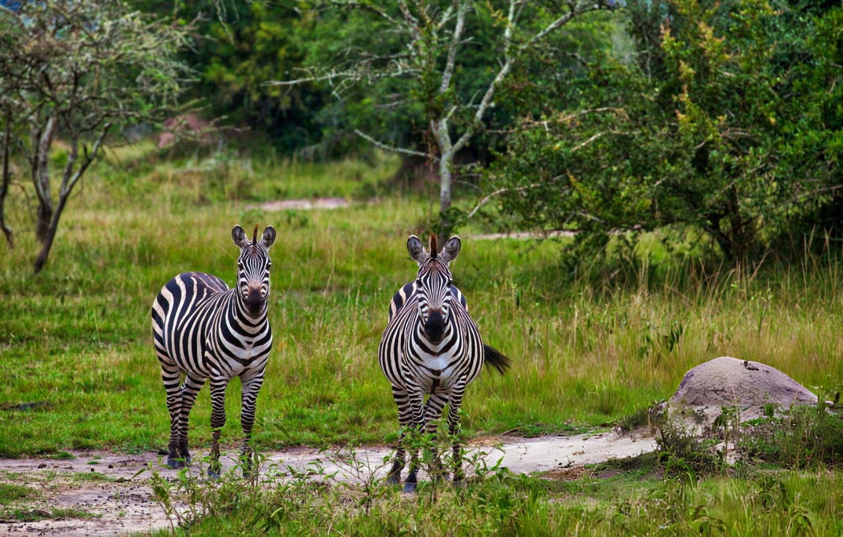Lake Mburo NP