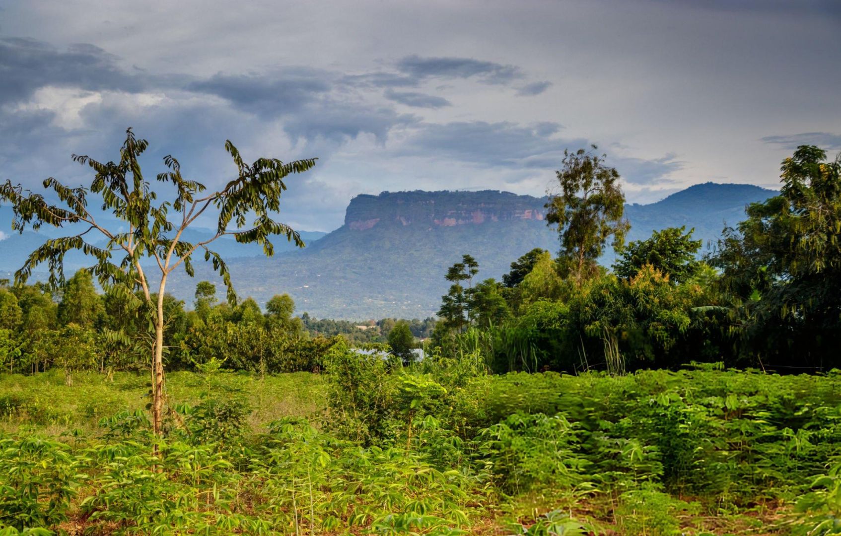 Mount Elgon NP