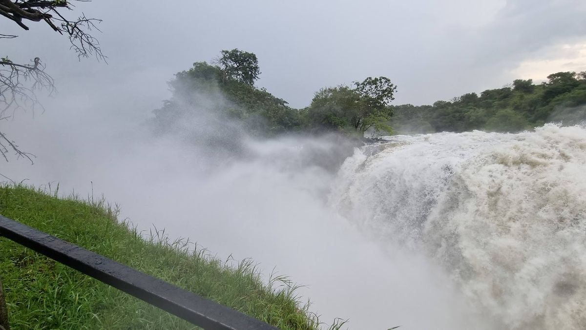4 Days Murchison Falls Safari