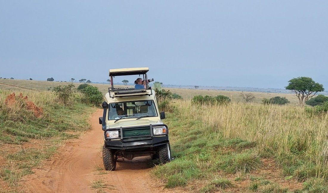 Uganda Safari Experience
