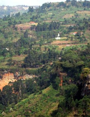 Sipi-Nature-1