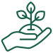 planting-tree